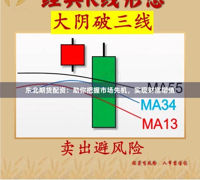 东北期货配资：助你把握市场先机，实现财富增值