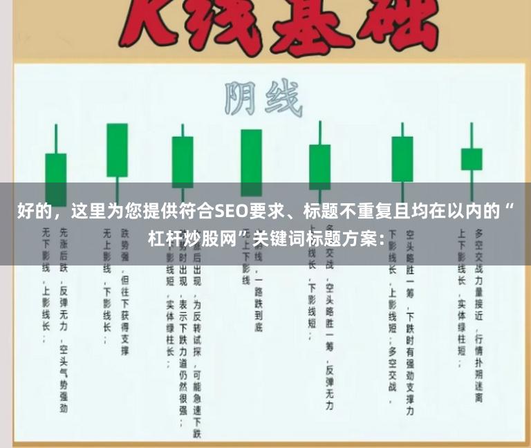 好的，这里为您提供符合SEO要求、标题不重复且均在以内的“杠杆炒股网”关键词标题方案：